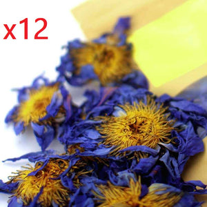 12 Packs of Blue Lotus Flowers - Save 31%