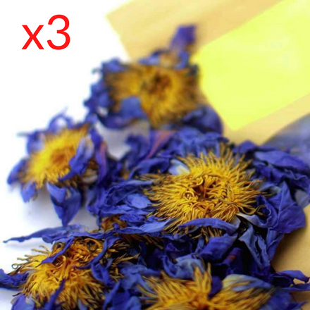 3 Packs of Blue Lotus Flowers - Save 11%
