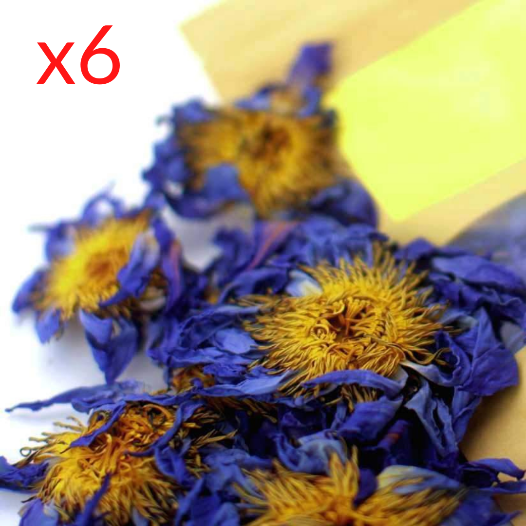 6 Packs of Blue Lotus Flowers - Save 21%